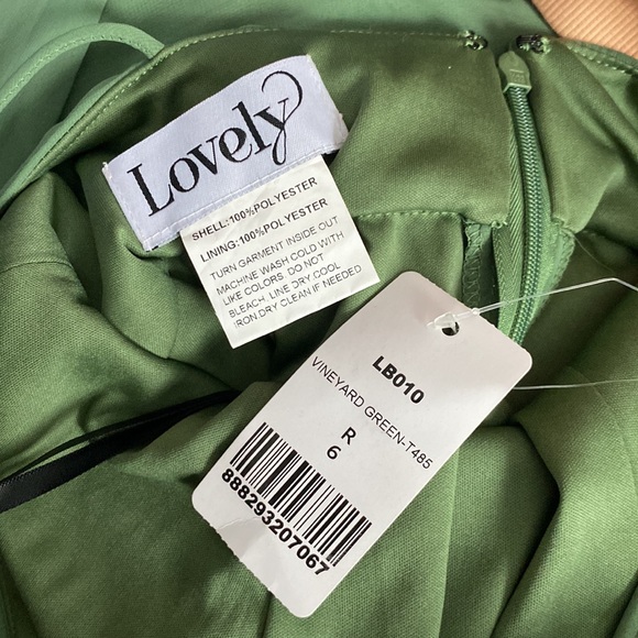 Lovely Lela High Neck Chiffon Maxi Dress with Front Slit Vineyard Green size 6 - Picture 2 of 2